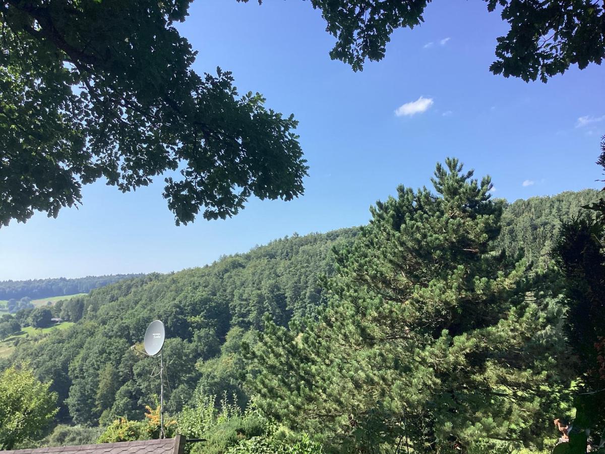 Chalet Spessart Dammbach Εξωτερικό φωτογραφία