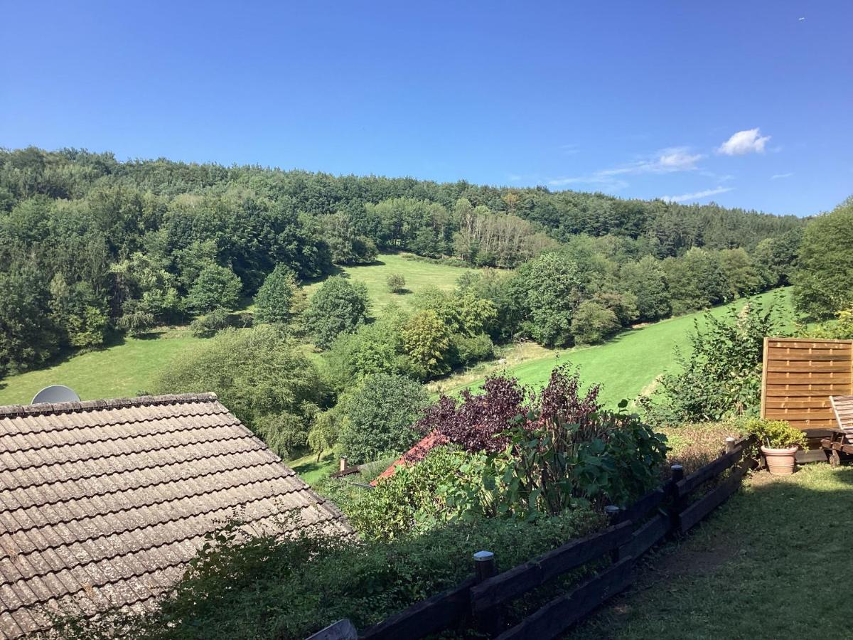 Chalet Spessart Dammbach Εξωτερικό φωτογραφία
